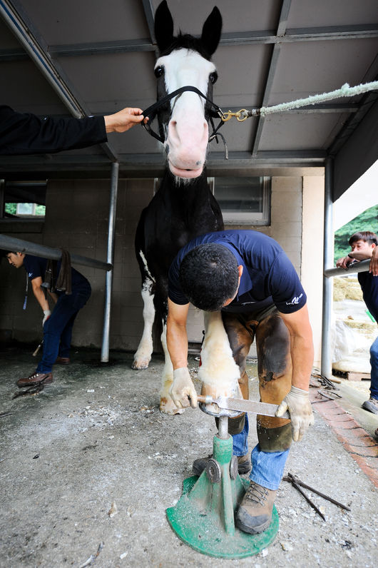 [사진]한국마사회 제공