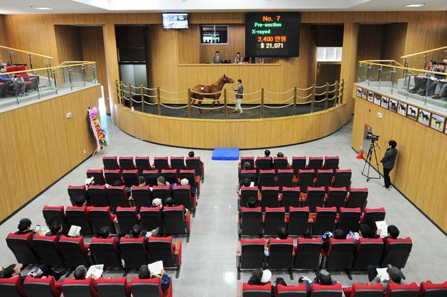 [사진]한국마사회 제공