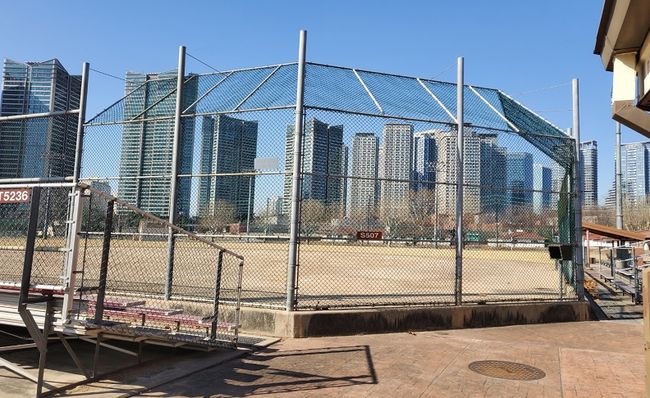 [사진] 대한야구소프트볼협회 제공 