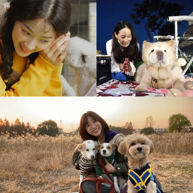 SBS 제공