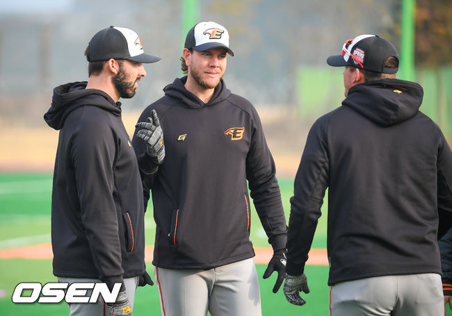 한화 카펜터와 킹험, 힐리가 이야기를 나누고 있다./ soul1014@osen.co.kr