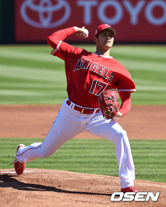 오타니 쇼헤이 /jpnews@osen.co.kr