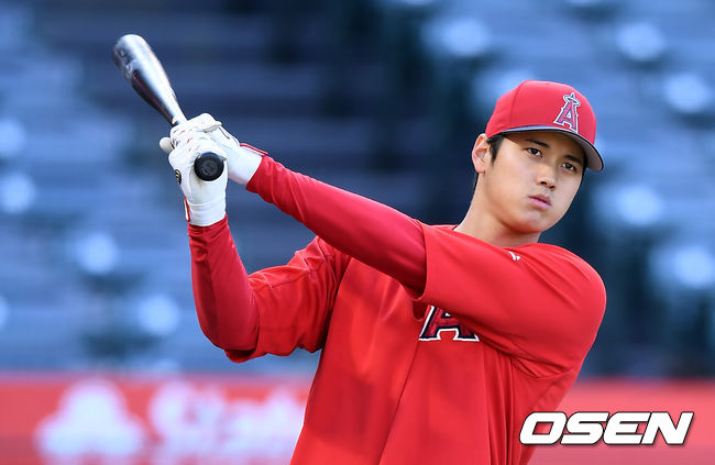 에인절스 오타니가 배팅 훈련을 하고 있다. / youngrae@osen.co.kr