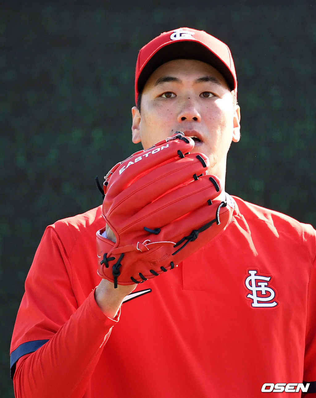 세인트루이스의 김광현. /sunday@osen.co.kr