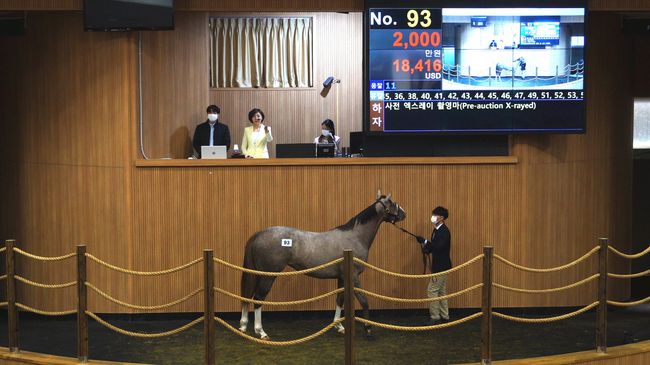 [사진]한국마사회 제공