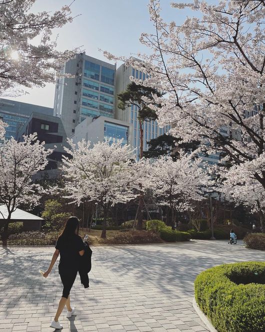한그루 인스타그램