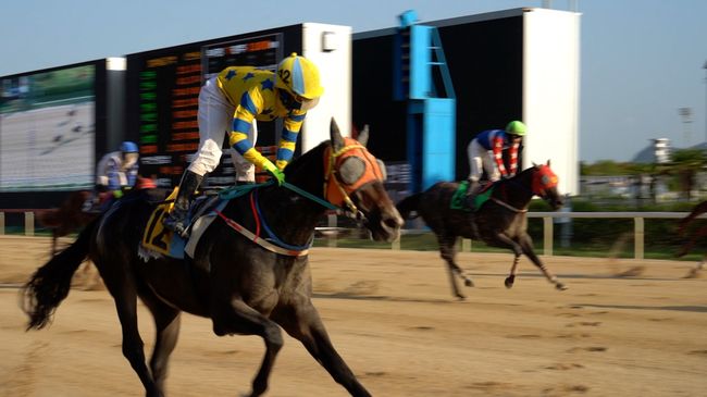 [사진]한국마사회 제공