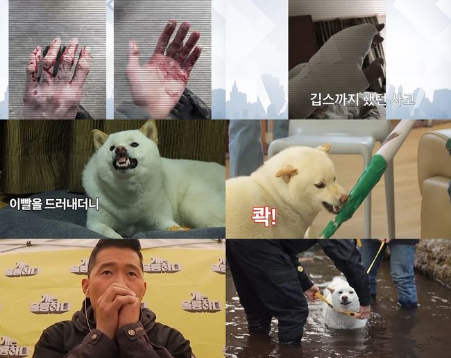 '개훌륭' 예고화면