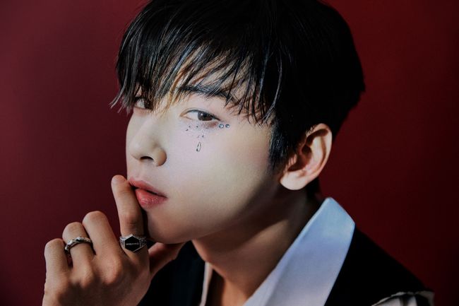 [사진] 아스트로 멤버 차은우. /LG 제공