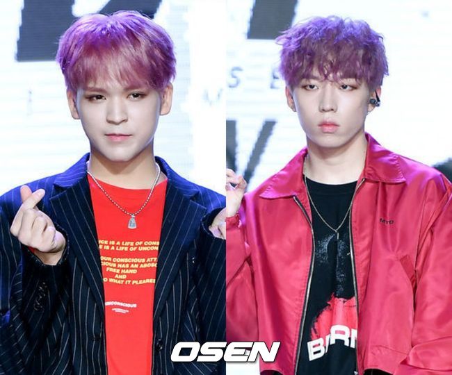 OSEN DB.