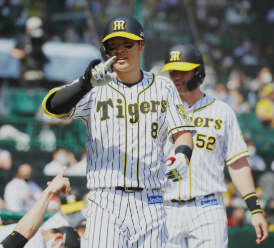 [사진] 니칸 스포츠 홈페이지