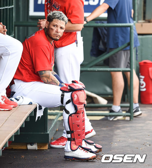  세인트루이스 몰리나. /soul1014@osen.co.kr