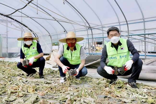 [사진] 농촌 일손 돕기에 나선 황순현 NC 다이노스 대표, 박진관 경남FC 대표, 최영식 NH농협은행 경남본부장(왼쪽부터) /NC 다이노스 제공
