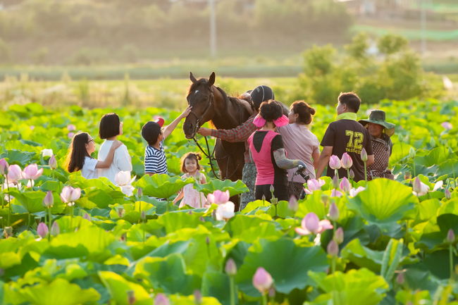 [사진]한국마사회 제공