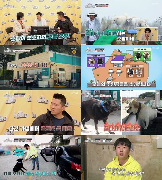 방송화면 캡쳐