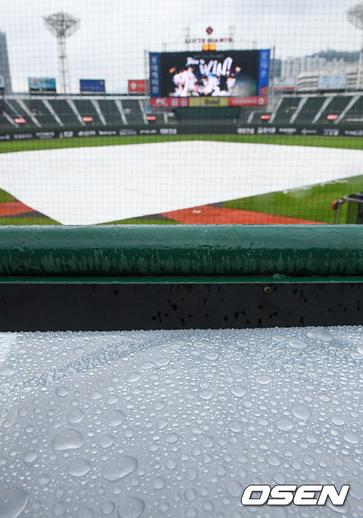 경기 앞서 내리는 비에 대형 방수포 덮힌 사직구장. / soul1014@osen.co.kr