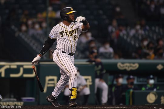 [사진] 한신 타이거스 홈페이지 