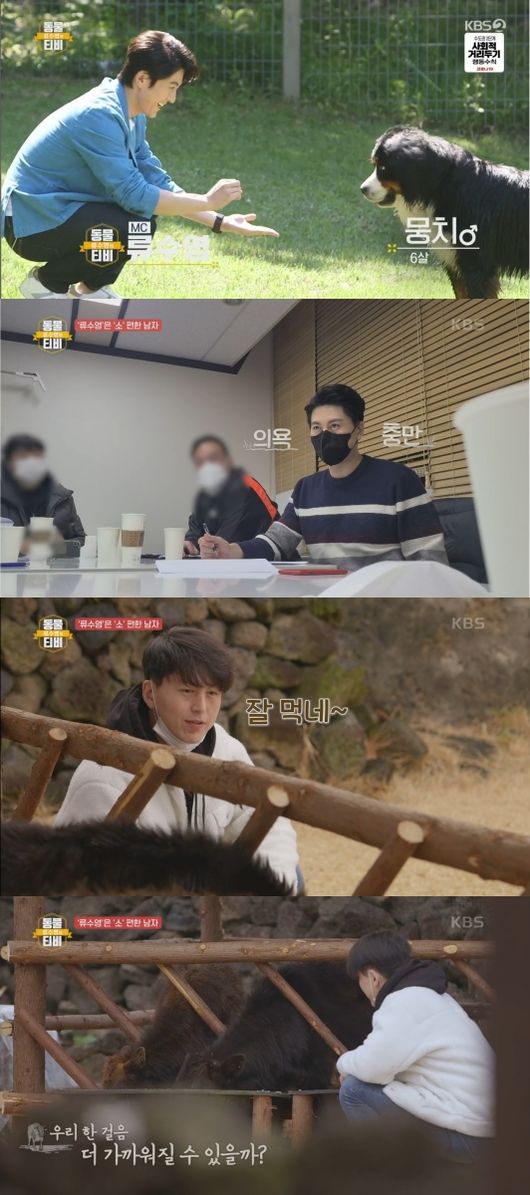 KBS 제공