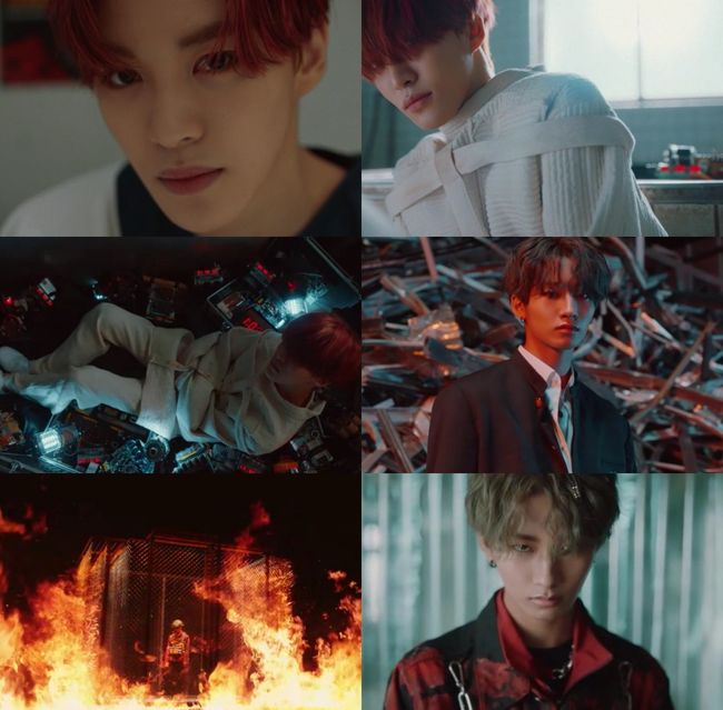 C9엔터테인먼트 제공