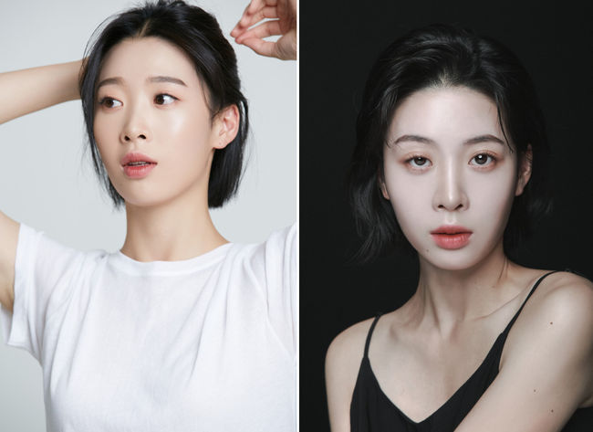 에이엘 이엔티 제공