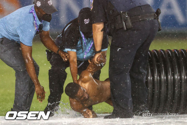 [사진] 27일(한국시간) 비로 워싱턴과 신시내티의 경기가 중단된 사이 내셔널즈 파크에 난입한 스트리퍼가 방수포를 마는 튜브 안에 숨어 있다가 보안요원들에게 끌려 나오고 있다.ⓒGettyimages(무단전재 및 재배포 금지)