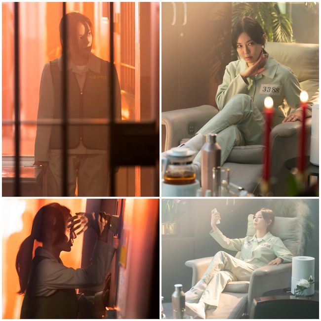 SBS 제공