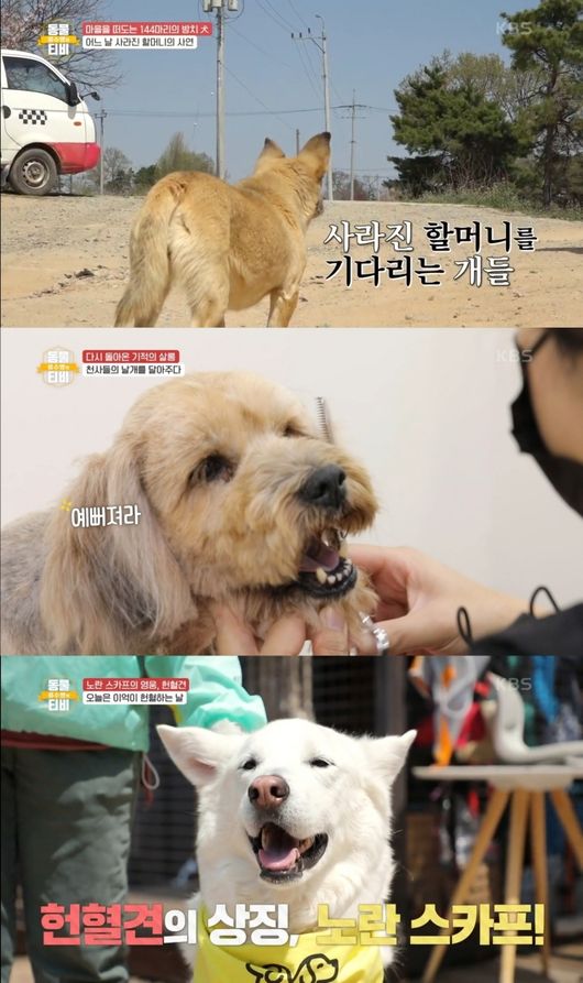 방송화면 캡쳐