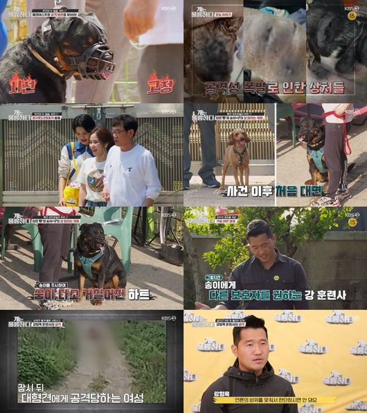 방송화면 캡쳐