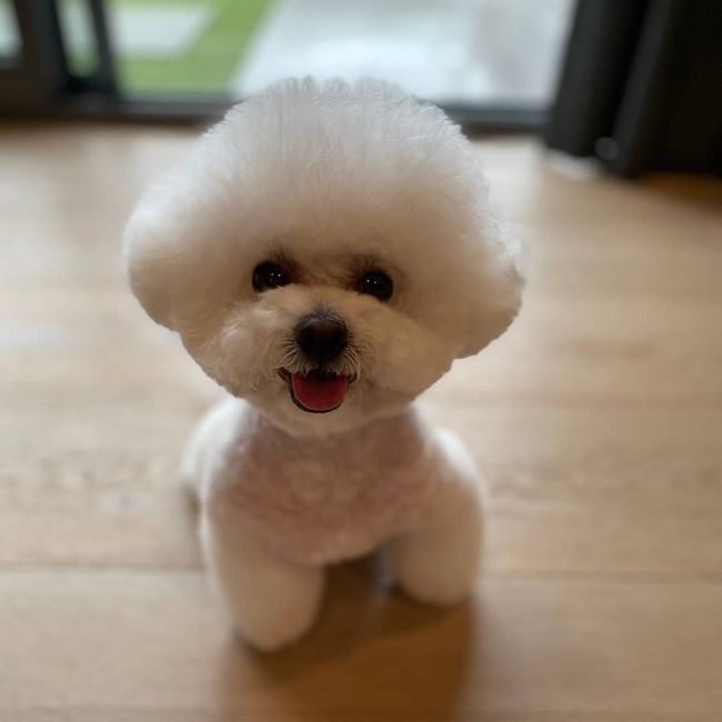 박명수 인스타그램