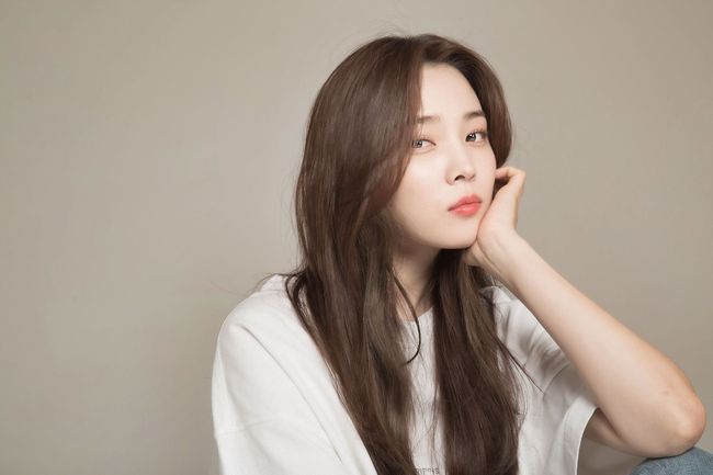 에이엘 이엔티 제공