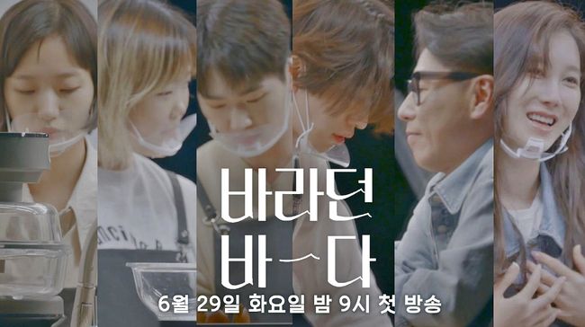 '바라던 바다' 제공