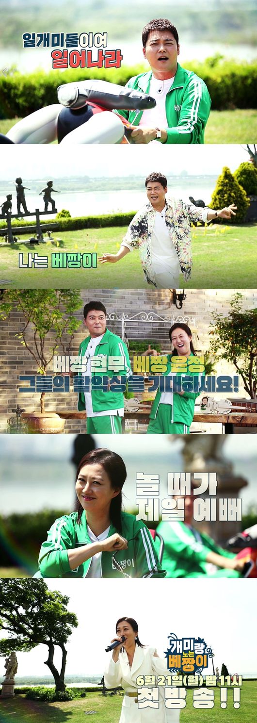 '개미랑 노는 베짱이' 제공