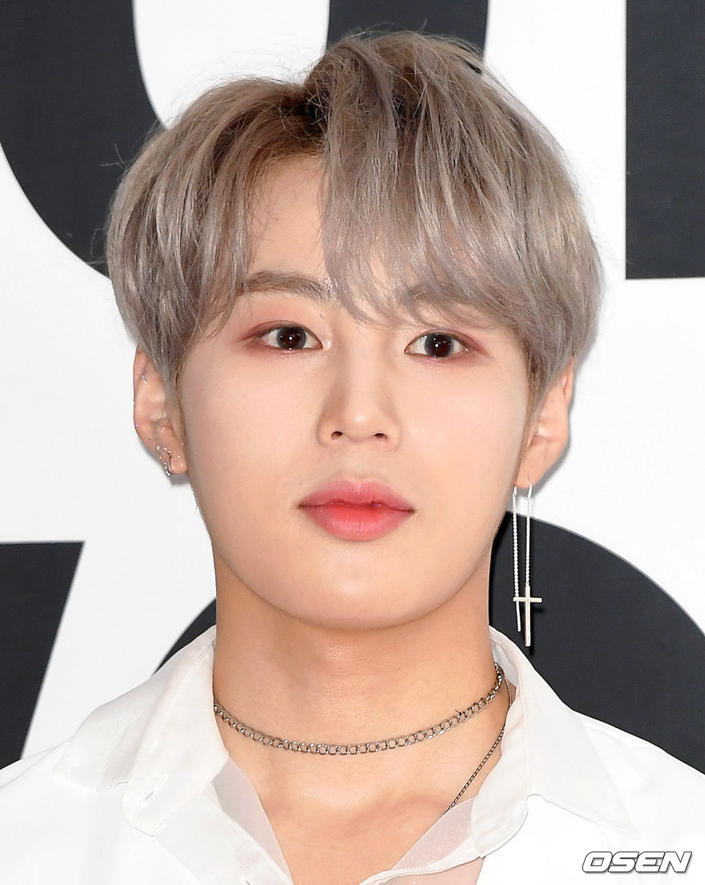 가수 하성운이 포토타임을 갖고 있다. /sunday@osen.co.kr