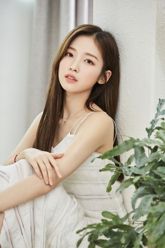 WM엔터테인먼트 제공