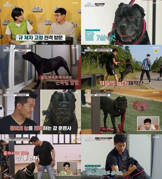 방송화면 캡쳐