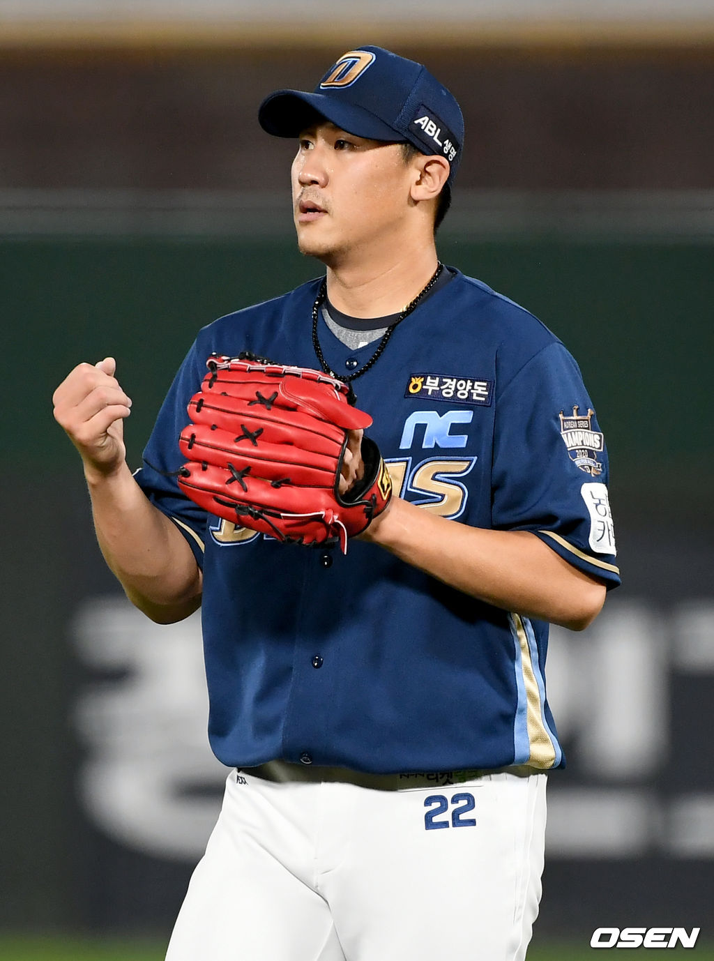 8회말 NC 이용찬이 롯데의 공격을 무실점으로 막아낸 뒤 기뻐하고 있다. 2021.06.24 /ksl0919@osen.co.kr