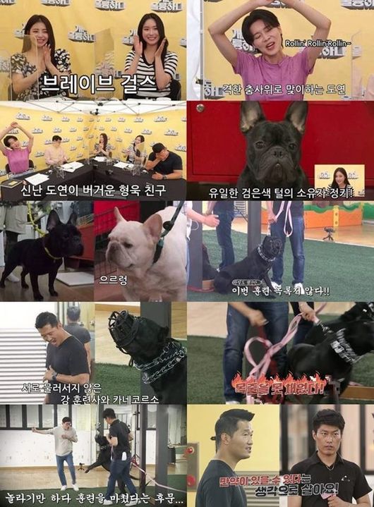 KBS 제공