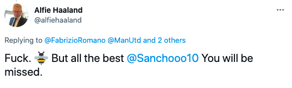 [사진] 알프잉에 홀란드 SNS 캡처