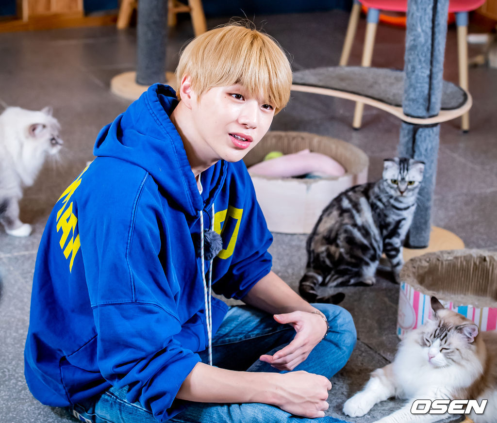2019년 10월 강다니엘 (KANG DANIEL) 스타로드 스케치. /rumi@osen.co.kr