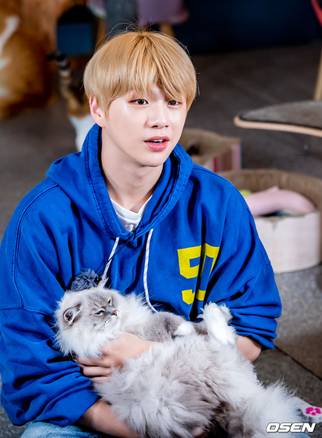 2019년 10월 강다니엘 (KANG DANIEL) 스타로드 스케치. /rumi@osen.co.kr