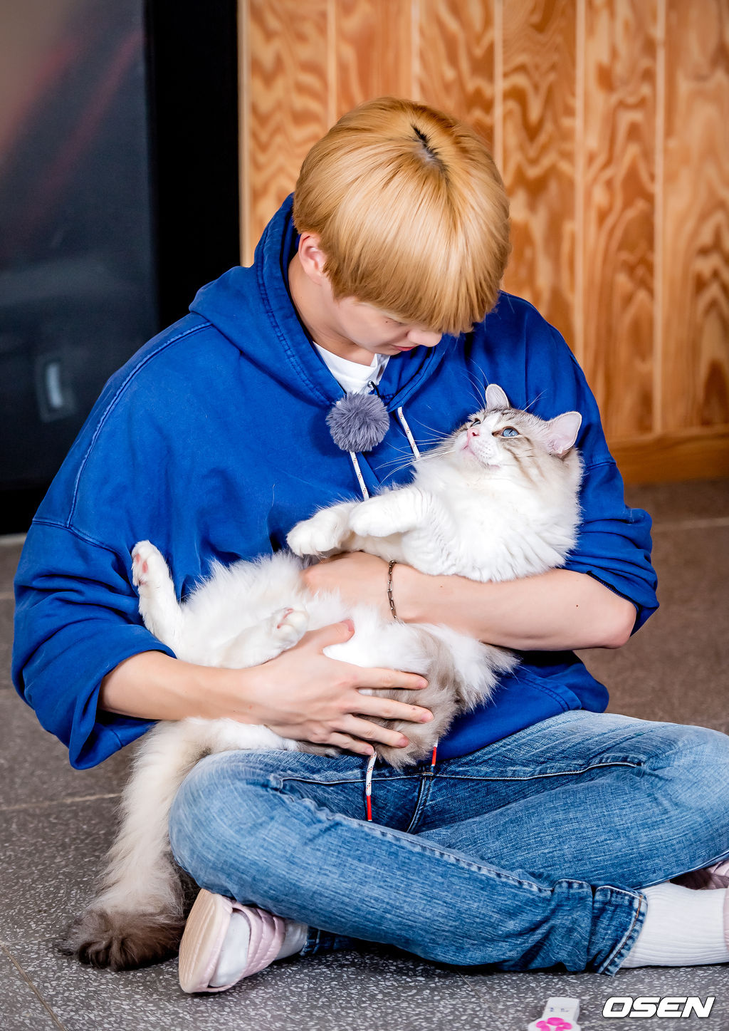 2019년 10월 강다니엘 (KANG DANIEL) 스타로드 스케치. /rumi@osen.co.kr