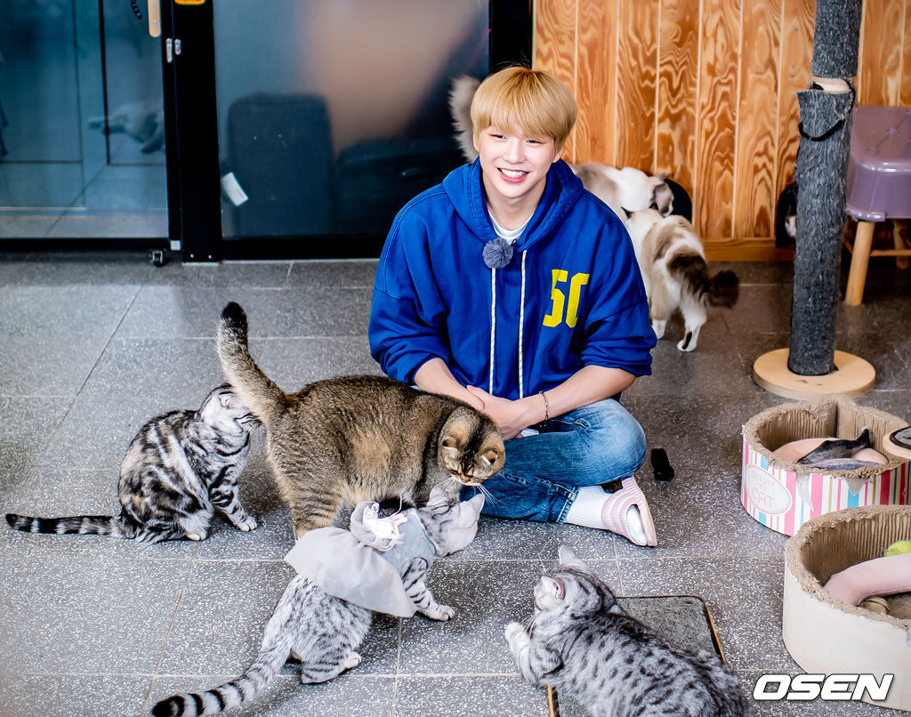 2019년 10월 강다니엘 (KANG DANIEL) 스타로드 스케치. /rumi@osen.co.kr