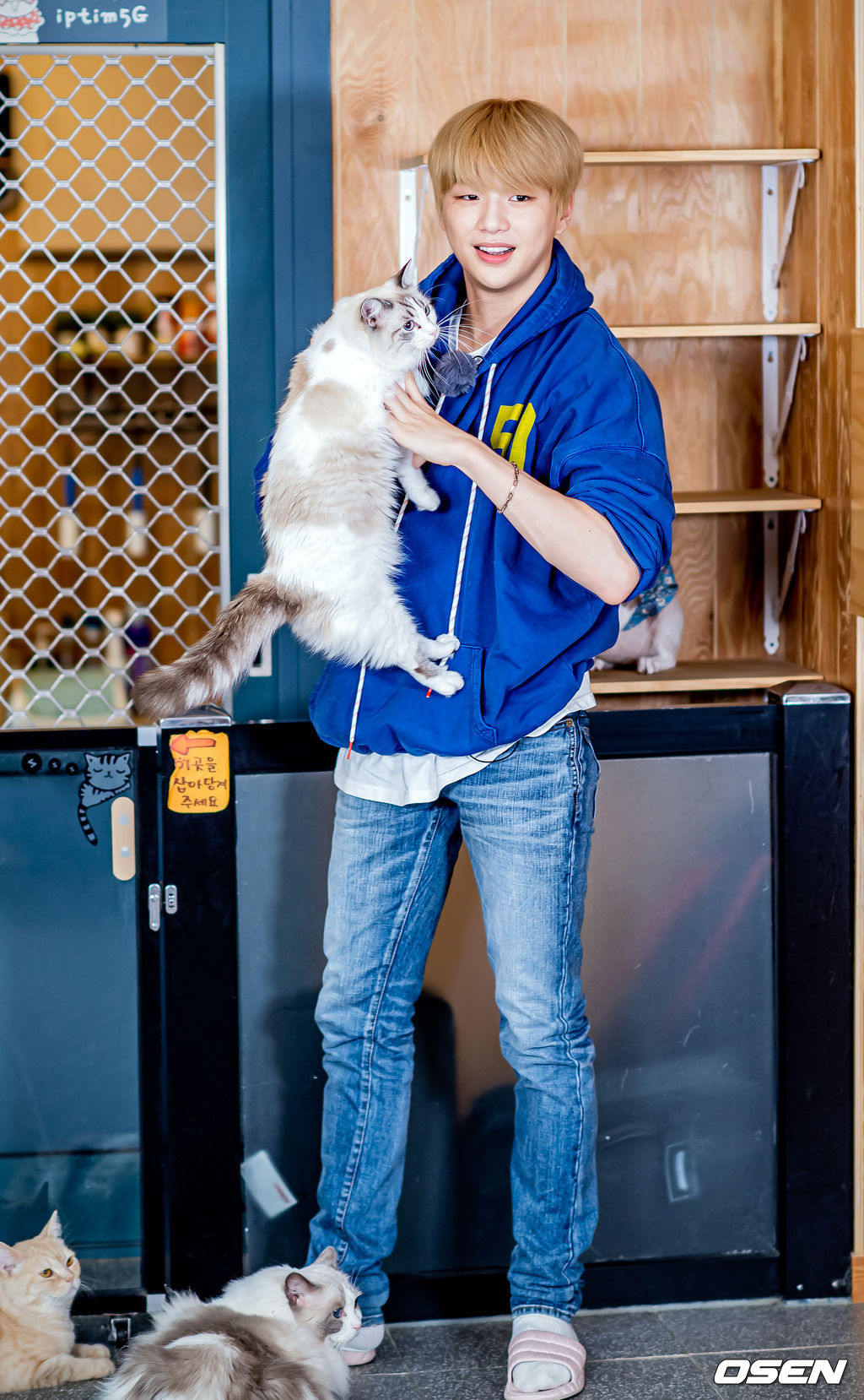 2019년 10월 강다니엘 (KANG DANIEL) 스타로드 스케치. /rumi@osen.co.kr