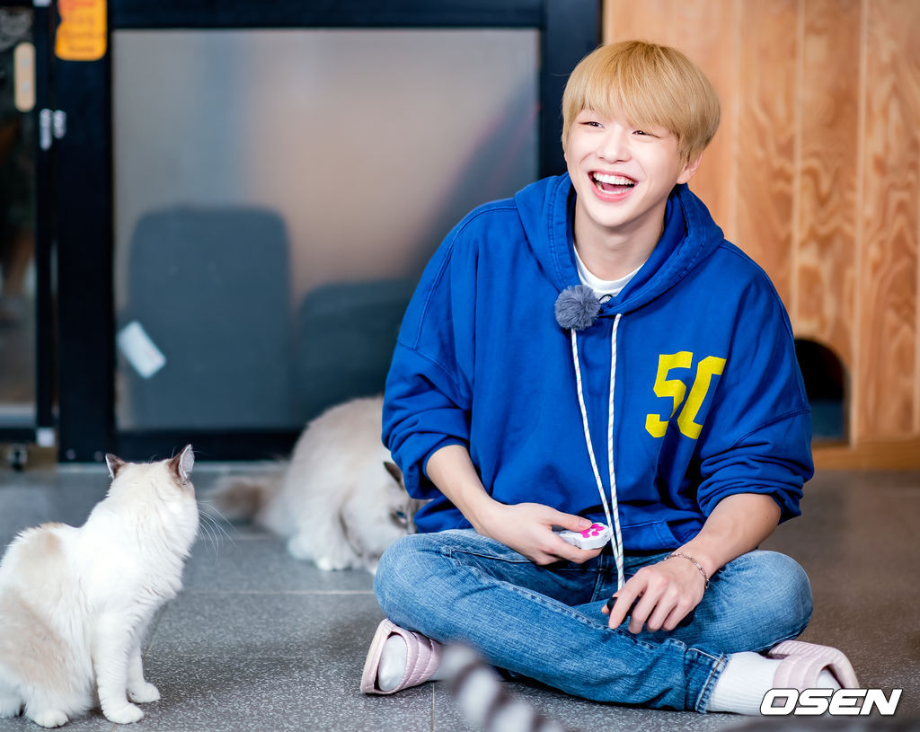 2019년 10월 강다니엘 (KANG DANIEL) 스타로드 스케치. /rumi@osen.co.kr