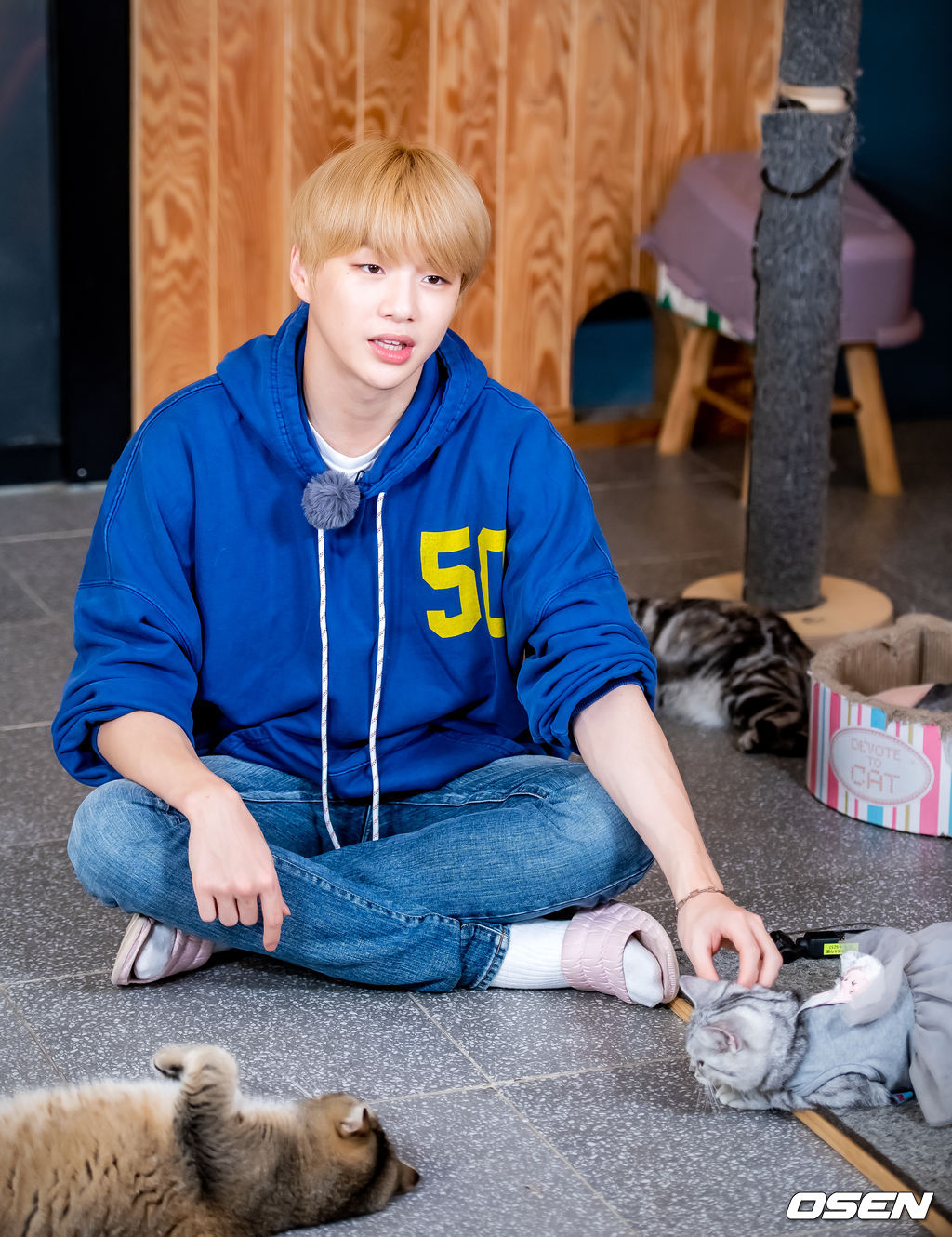 2019년 10월 강다니엘 (KANG DANIEL) 스타로드 스케치. /rumi@osen.co.kr