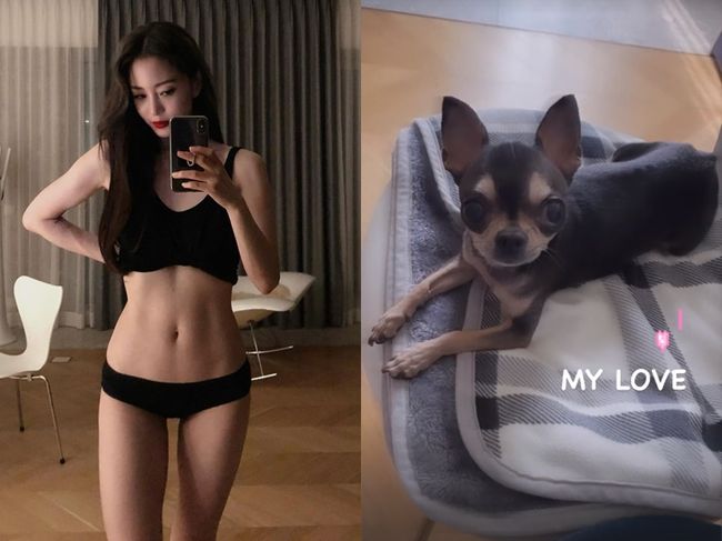 한예슬 인스타그램