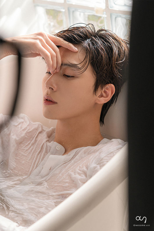 어썸이엔티 제공