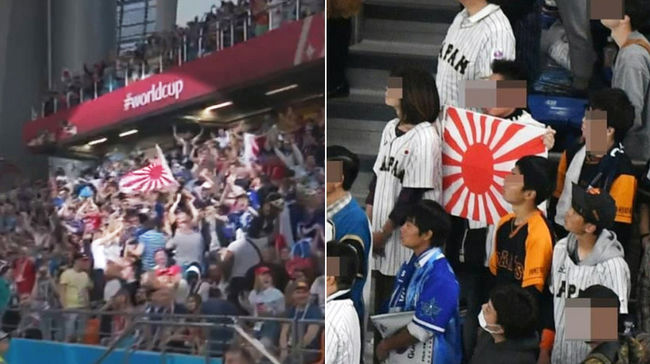 [사진] 서경덕 교수 연구팀 제공.