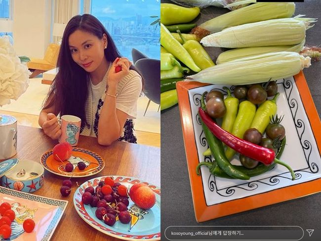 고소영 인스타그램