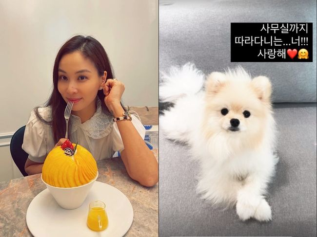 고소영 인스타그램
